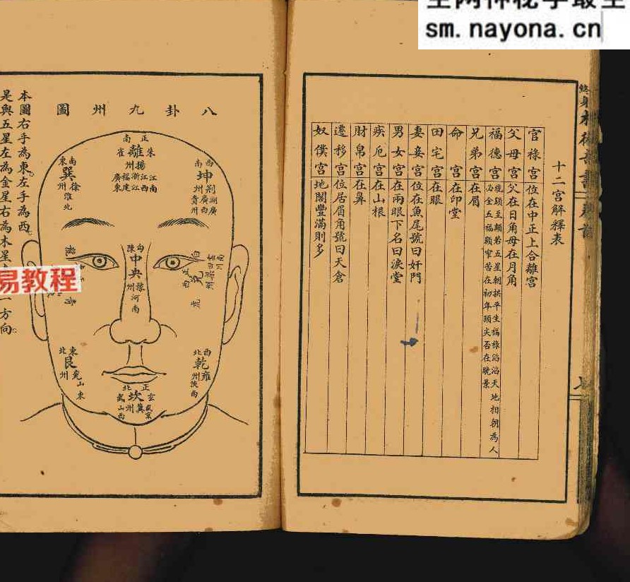 决断终身相术奇书.pdf 90页 双开本