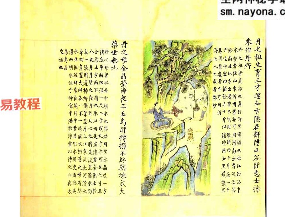道家丹道古籍《炼丹图》40筒子页.pdf