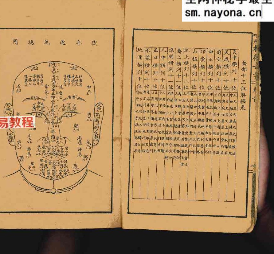 决断终身相术奇书.pdf 90页 双开本