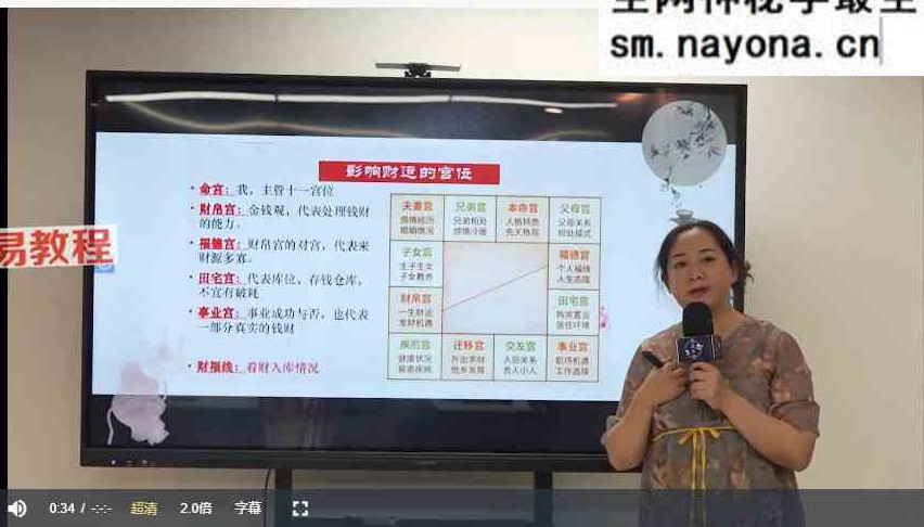 黎荔紫微心学初阶课视频12集