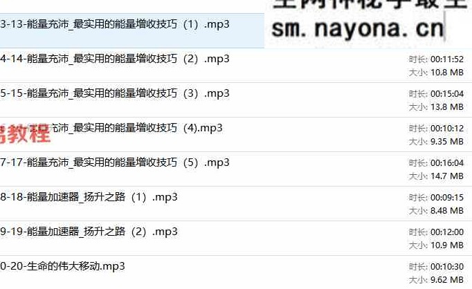 内在星球【能量的艺术】音频20集