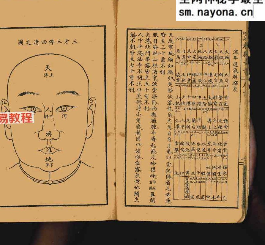 决断终身相术奇书.pdf 90页 双开本