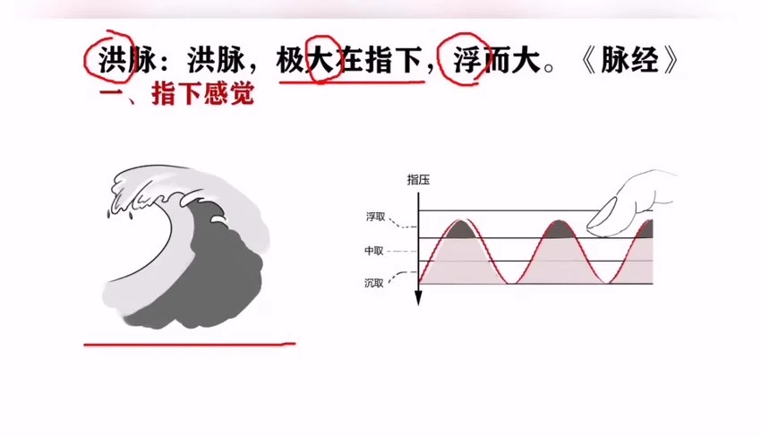 《古训堂陈雷 伤寒脉法讲解》视频27集
