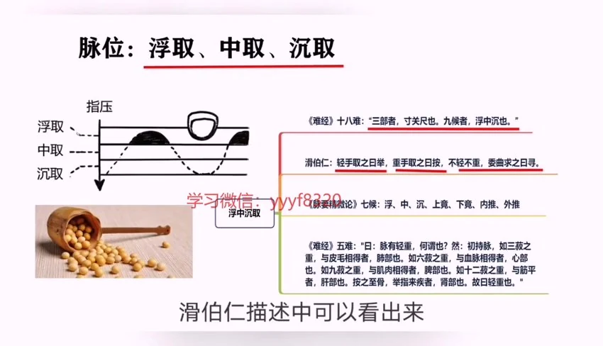 《古训堂陈雷 伤寒脉法讲解》视频27集