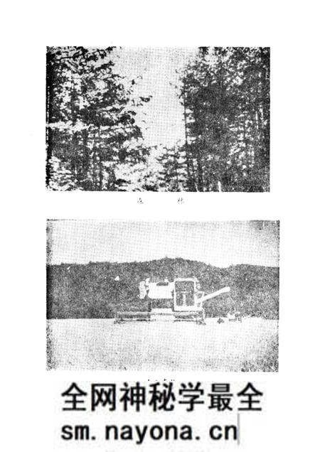 1987-阿荣旗情.pdf电子版_内蒙古志预览图5