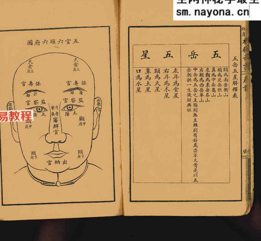 决断终身相术奇书.pdf 90页 双开本