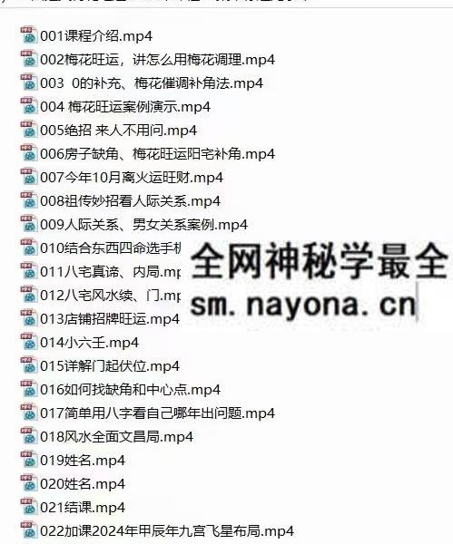 2024年 国继文《梅花旺运》23集视频课程