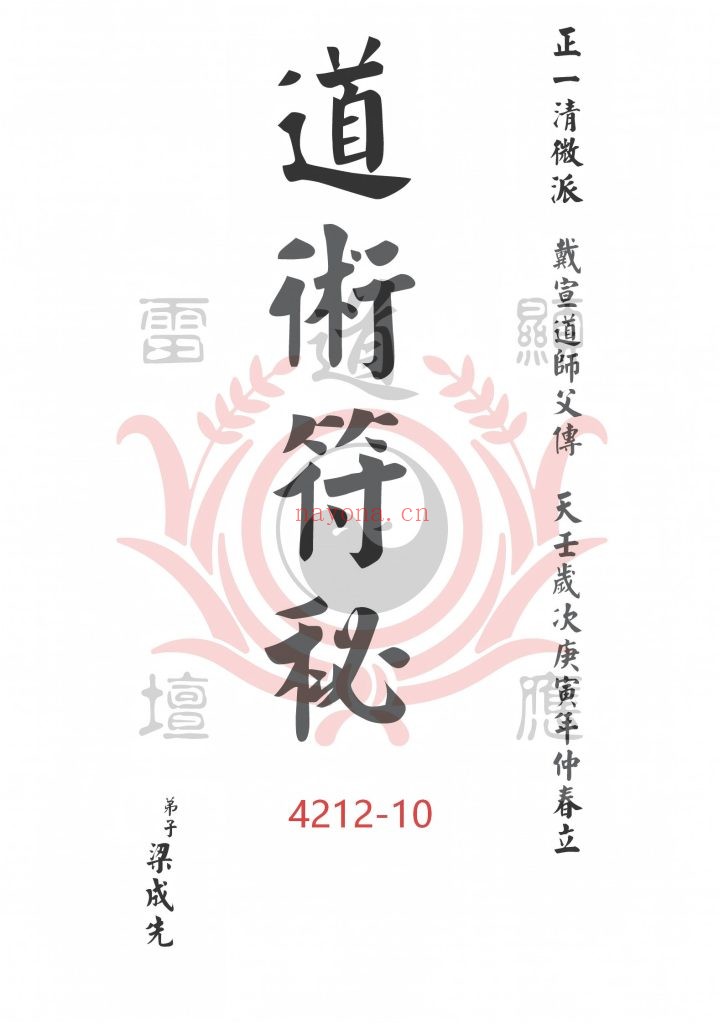 《戴家道术符秘一宗》10