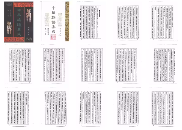 C0113_中华族谱集成_陈氏谱卷_第一册.pdf[地方藏谱] - A更新