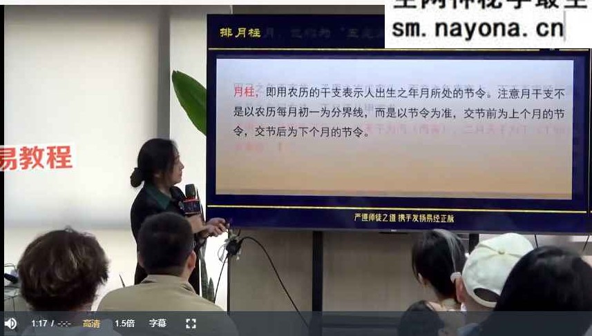 黎荔 子平易学高阶课视频20集