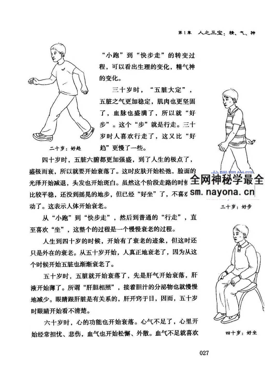 张其成精气神养生法张其成着259页pdf