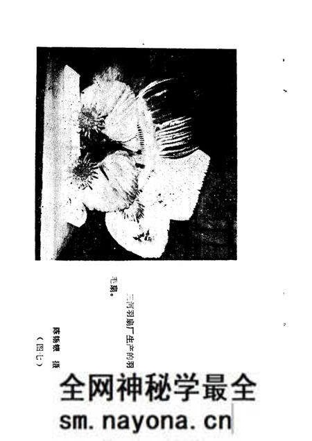 1985版肥西文史资料 第1辑 古镇三河.pdf电子版_安徽省志预览图5 1985版肥西文史资料 第1辑 古镇三河.pdf电子版_安徽省志预览图5