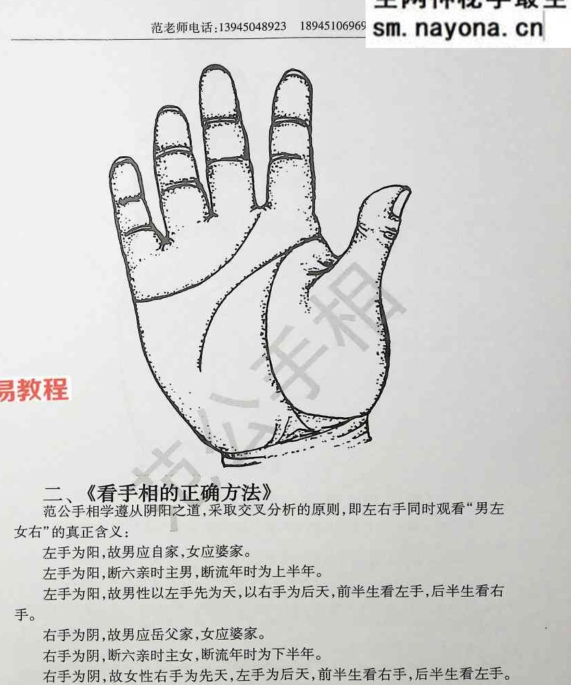 范公手相.pdf 254页