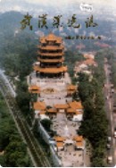 武汉环境志 (湖北省武汉市地方志) 1991年版