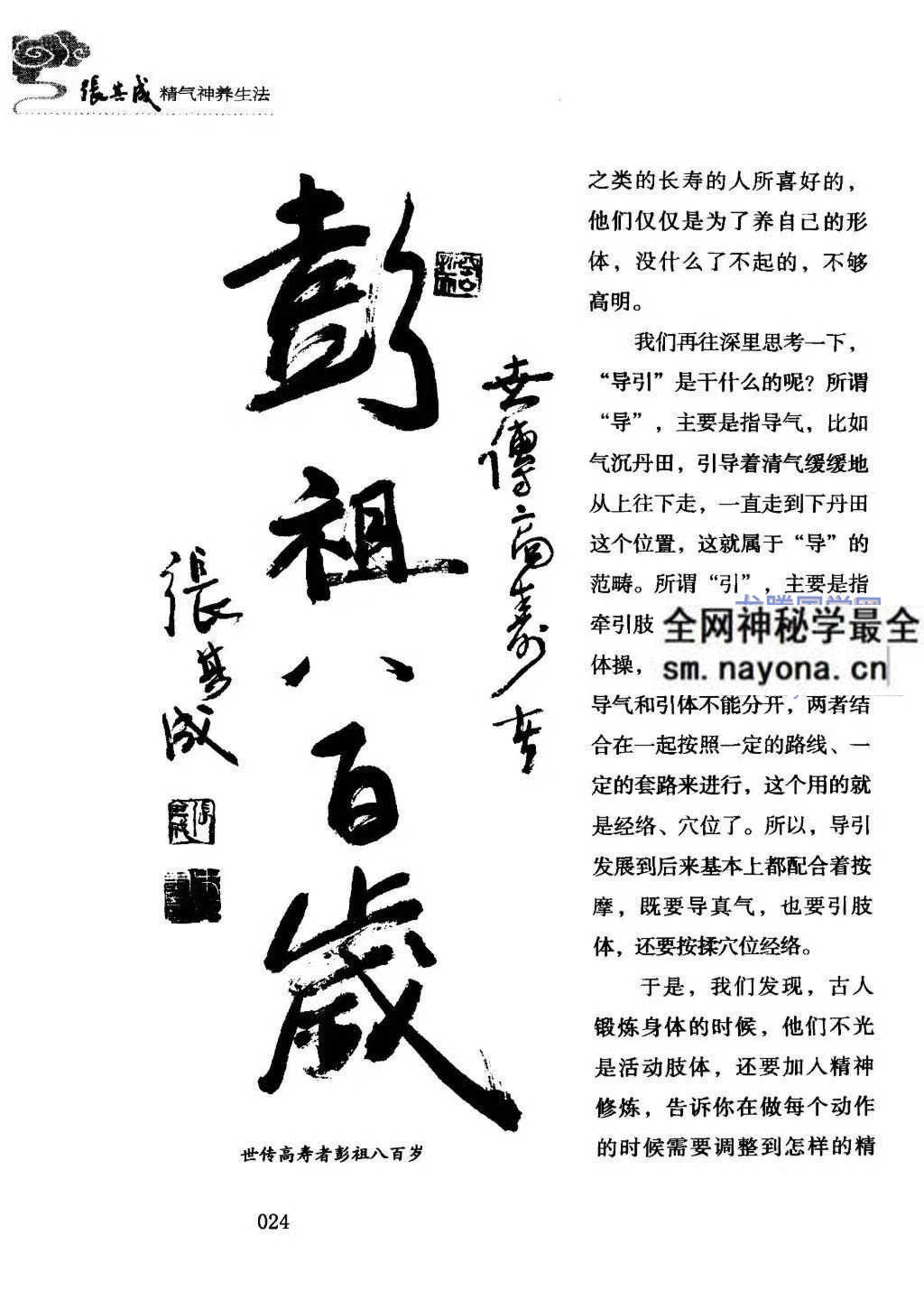 张其成精气神养生法张其成着259页pdf