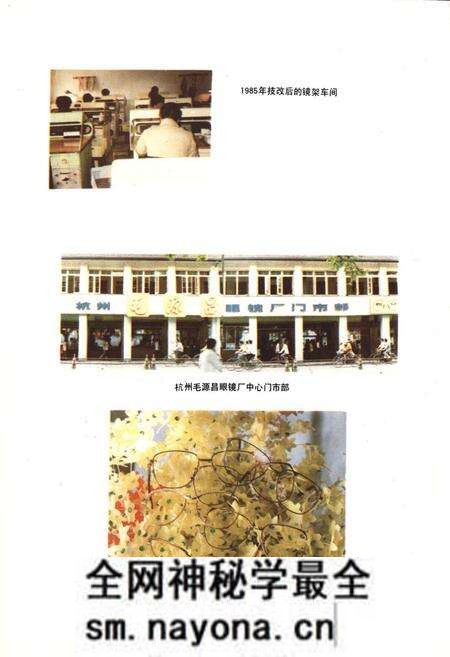 《杭州毛源昌眼镜厂厂志》.pdf电子版_浙江省志预览图5 《杭州毛源昌眼镜厂厂志》.pdf电子版_浙江省志预览图5