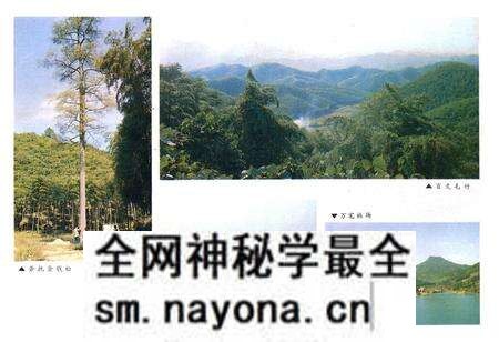 《余杭县林业志1910-1987年》.pdf电子版_浙江省志预览图3 《余杭县林业志1910-1987年》.pdf电子版_浙江省志预览图3