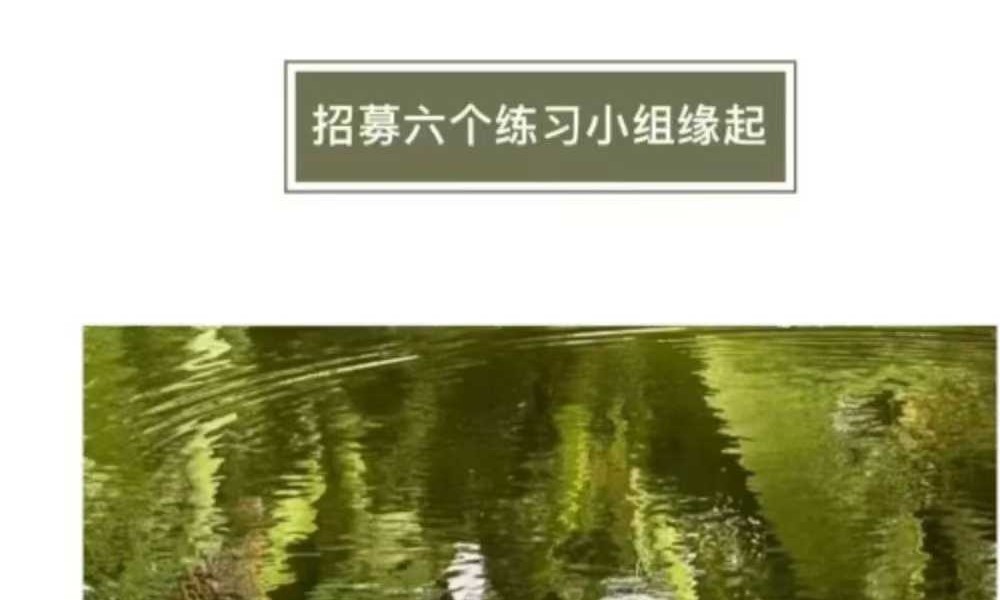 灵性基础 星星学堂姚珺 六个练习共修 17集视频课程