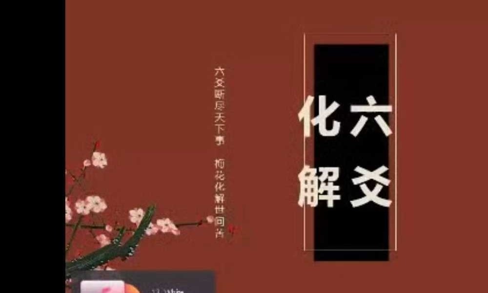 易熵 散人六爻化解 15集视频+课件