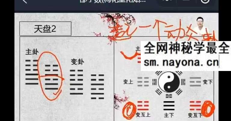 易熵 散人邵子神数 7集视频+课件