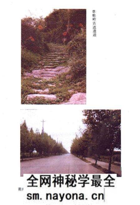 《衢县交通志》.pdf电子版_浙江省志预览图5 《衢县交通志》.pdf电子版_浙江省志预览图5