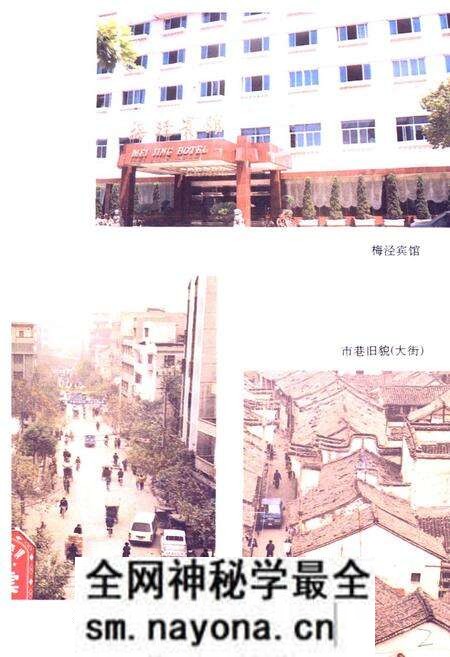 《濮院镇志》.pdf电子版_浙江省志预览图3