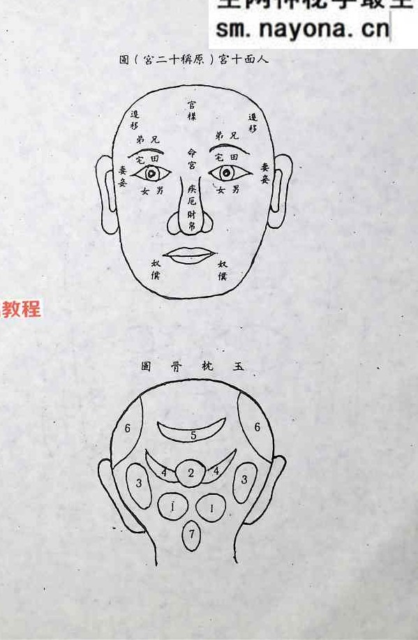 手相面相测人生.pdf 369页
