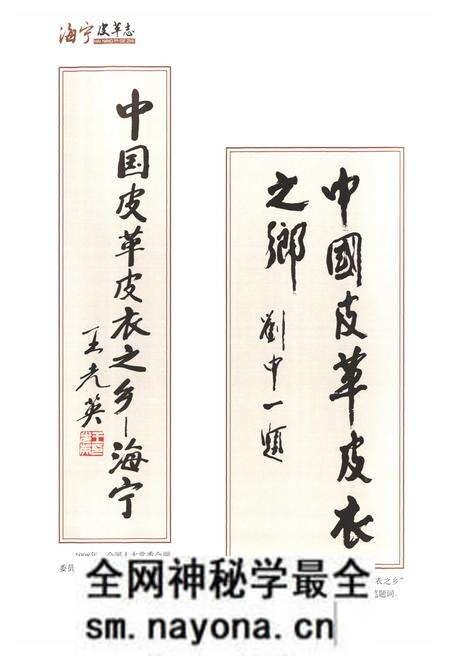 《《海宁皮革志》》.pdf电子版_浙江省志预览图3