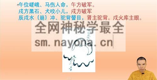 G16562025宗佑指迷赋视频10集