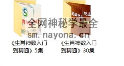 A2340书含《生肖神数入门到精通》视频35集