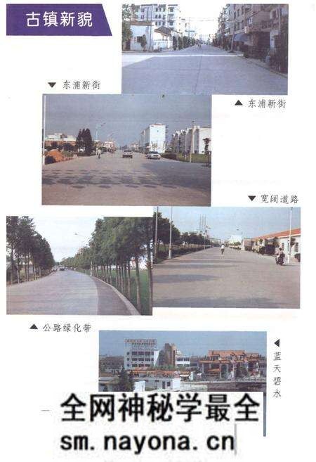 《东浦镇志》.pdf电子版_浙江省志预览图5