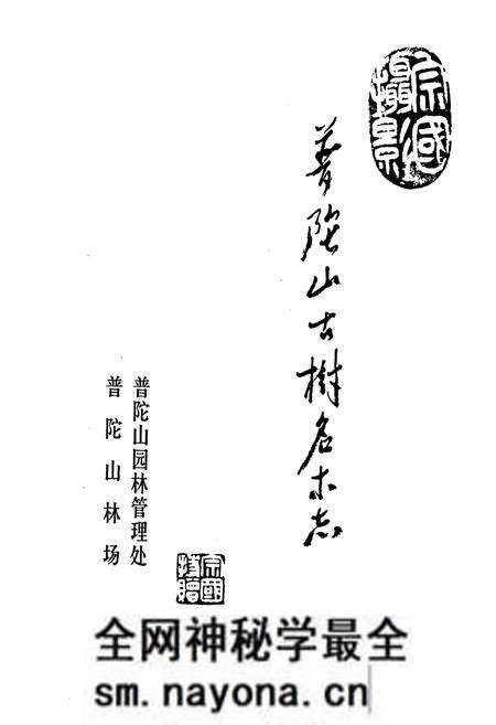 《普陀山古树名木志》.pdf电子版_浙江省志预览图1 《普陀山古树名木志》.pdf电子版_浙江省志预览图1