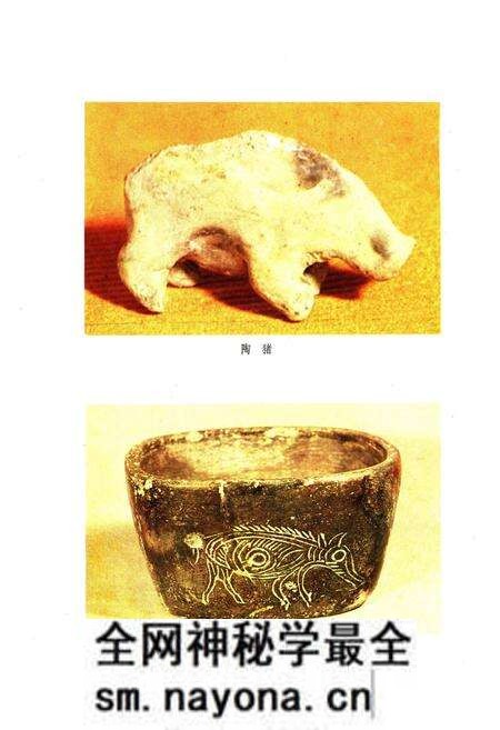 《浙江省畜禽品种志》.pdf电子版_浙江省志预览图5 《浙江省畜禽品种志》.pdf电子版_浙江省志预览图5