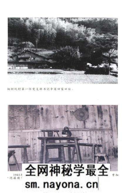 《桐树坑革命和建设史话》.pdf电子版_浙江省志预览图5 《桐树坑革命和建设史话》.pdf电子版_浙江省志预览图5