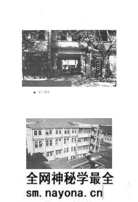 《嘉善县印刷厂志1952-1989》.pdf电子版_浙江省志预览图3 《嘉善县印刷厂志1952-1989》.pdf电子版_浙江省志预览图3