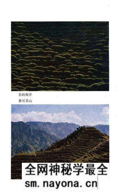 《景宁畲族自治县概况》.pdf电子版_浙江省志预览图4