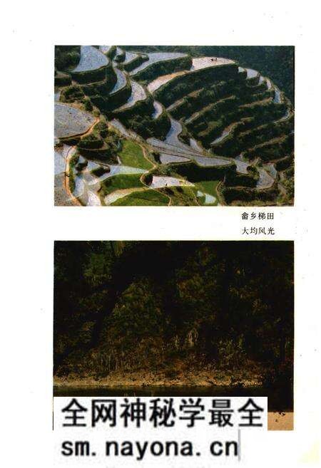 《景宁畲族自治县概况》.pdf电子版_浙江省志预览图3