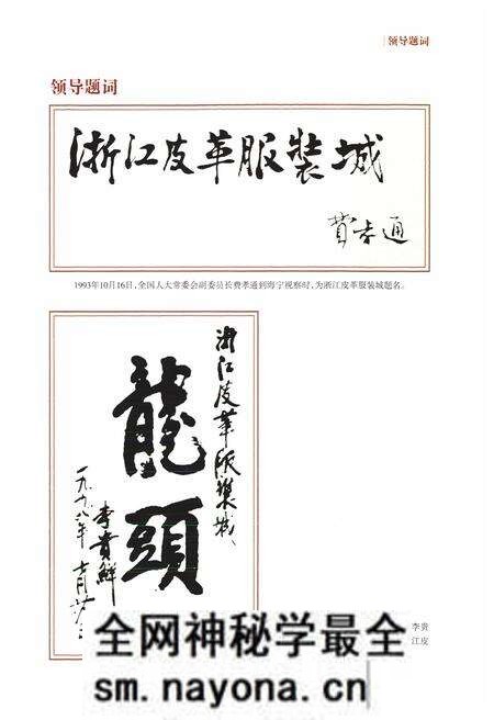 《《海宁皮革志》》.pdf电子版_浙江省志预览图2
