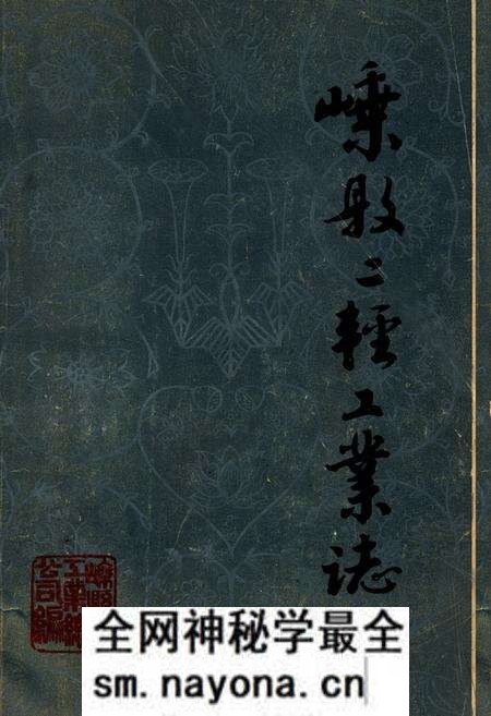 《《嵊县二轻工业志》》.pdf电子版_浙江省志预览图 《《嵊县二轻工业志》》.pdf电子版_浙江省志预览图