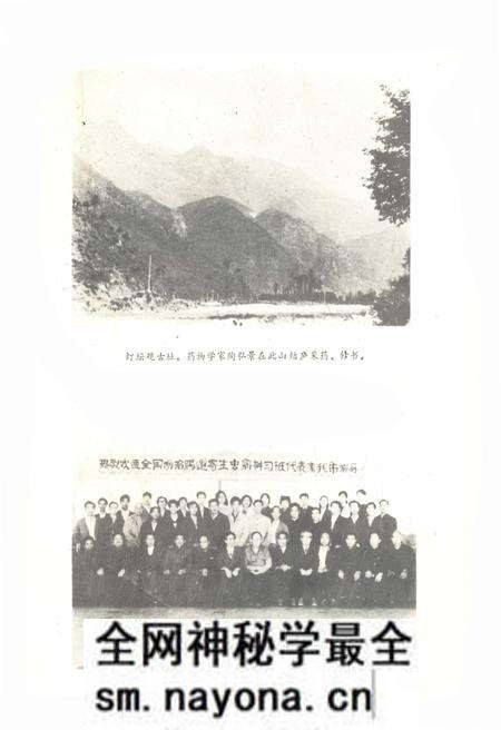 《临海市卫生志 公元240-1985》.pdf电子版_浙江省志预览图4 《临海市卫生志 公元240-1985》.pdf电子版_浙江省志预览图4