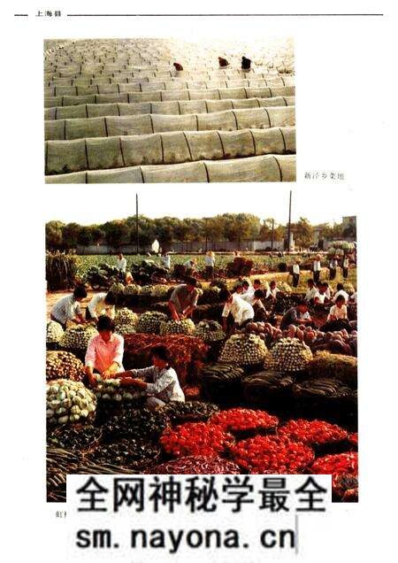 -上海县要览.pdf电子版_上海市志预览图5 -上海县要览.pdf电子版_上海市志预览图5