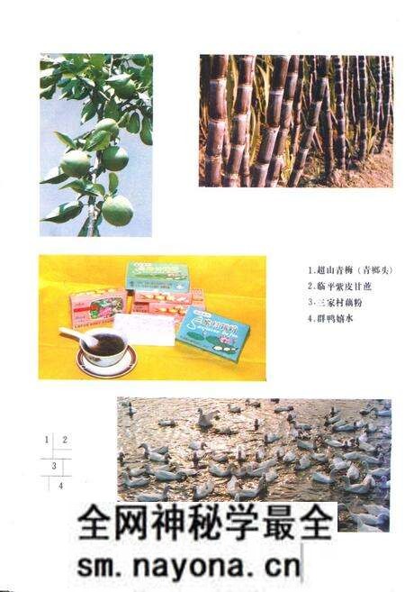 《余杭县农业志》.pdf电子版_浙江省志预览图4 《余杭县农业志》.pdf电子版_浙江省志预览图4