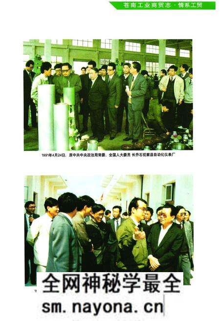 《《苍南工业商贸志》》.pdf电子版_浙江省志预览图5