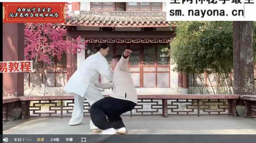 炼神入道太极嫡传弟子班视频90集