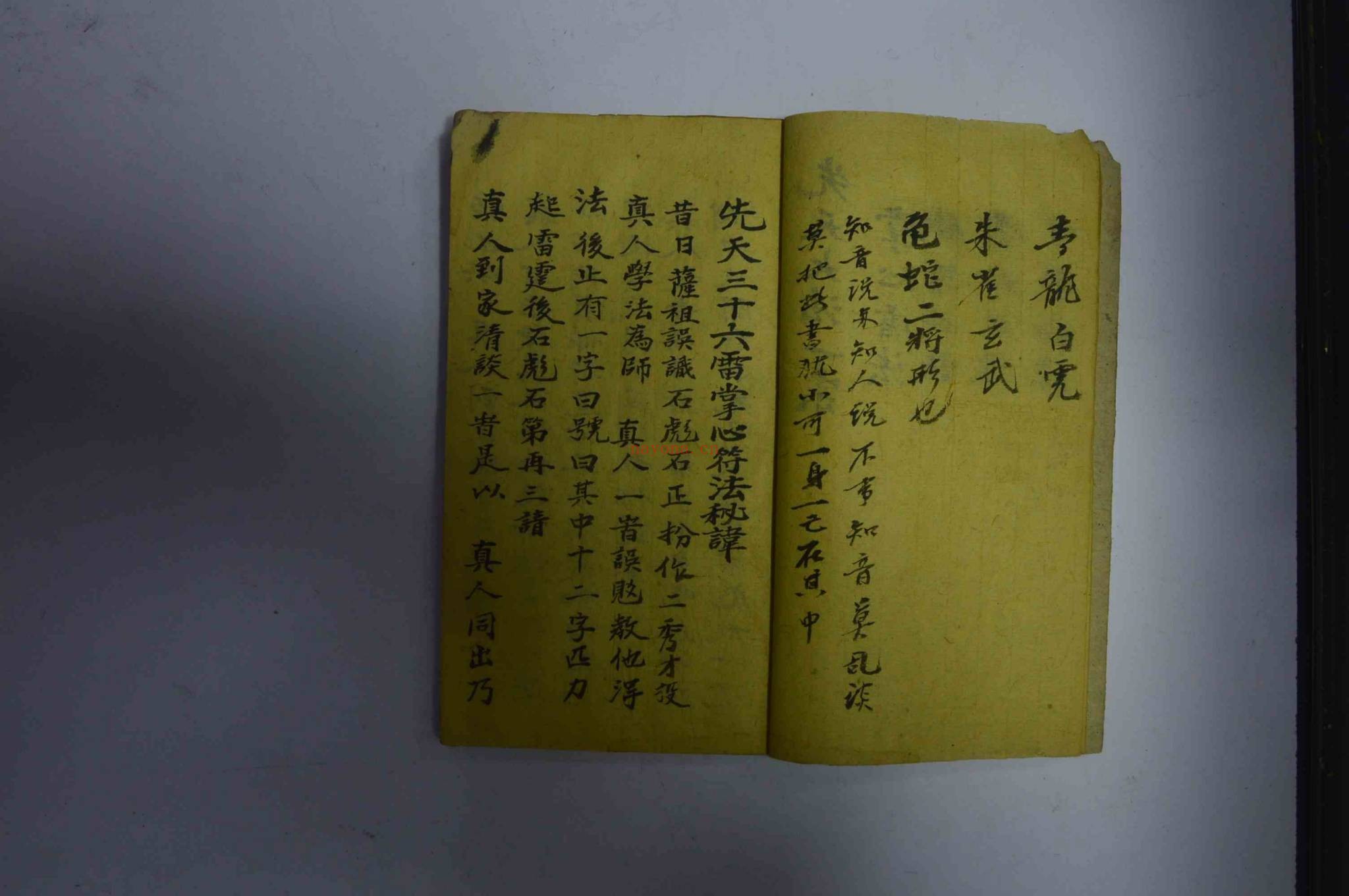《先天掌心五雷大法 38筒子页》PDF电子书（41页）