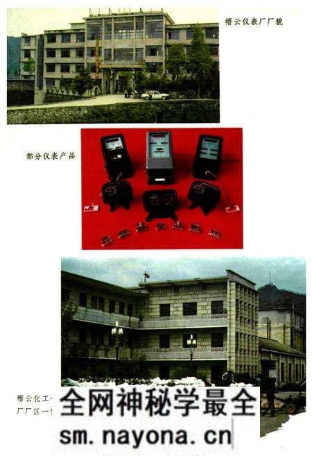 《缙云县工业志》.pdf电子版_浙江省志预览图5 《缙云县工业志》.pdf电子版_浙江省志预览图5