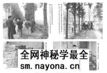 《余杭县林业志1910-1987年》.pdf电子版_浙江省志预览图5 《余杭县林业志1910-1987年》.pdf电子版_浙江省志预览图5