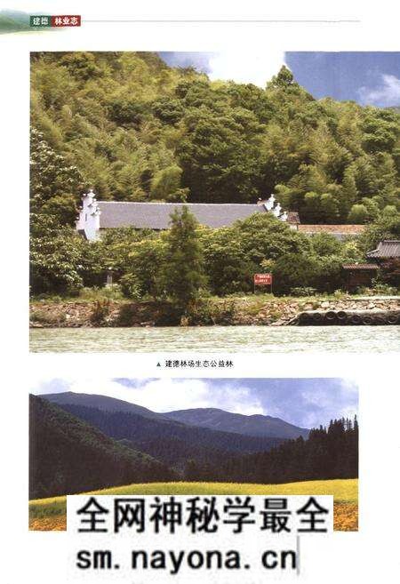 《建德林业志》.pdf电子版_浙江省志预览图5 《建德林业志》.pdf电子版_浙江省志预览图5