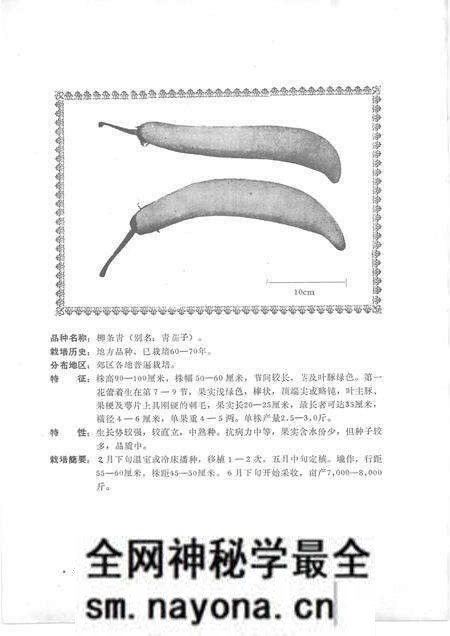 -沈阳市郊区蔬菜品种志.pdf电子版_辽宁省志预览图5 -沈阳市郊区蔬菜品种志.pdf电子版_辽宁省志预览图5