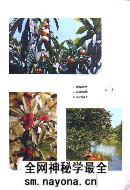 《余杭县农业志》.pdf电子版_浙江省志预览图3 《余杭县农业志》.pdf电子版_浙江省志预览图3